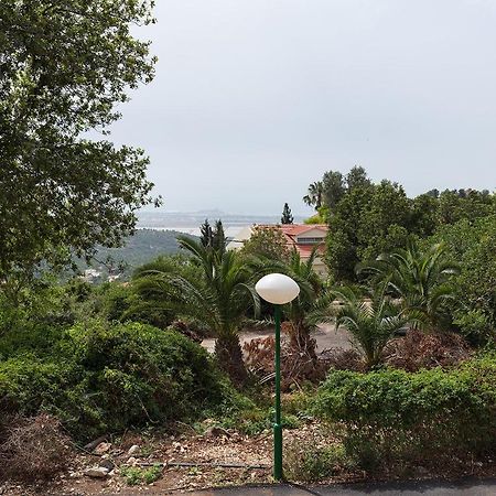 Nir Etzion Resort Ein Hod エクステリア 写真